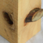 Holz 8 von 14